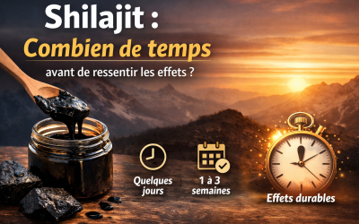 shilajit combien de temps effets