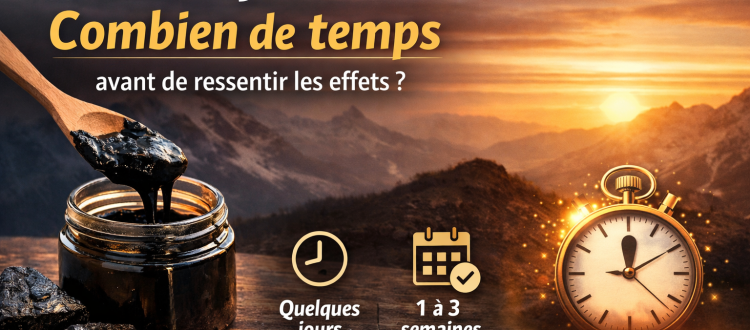 shilajit combien de temps effets