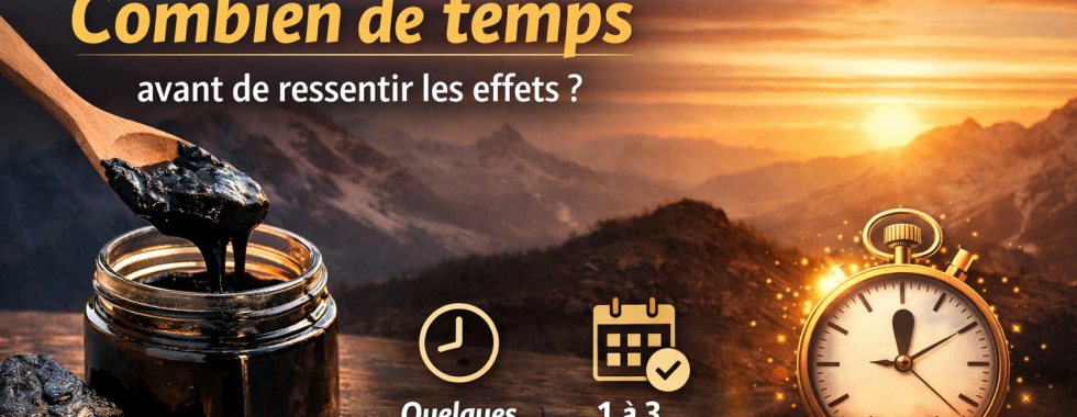 shilajit combien de temps effets