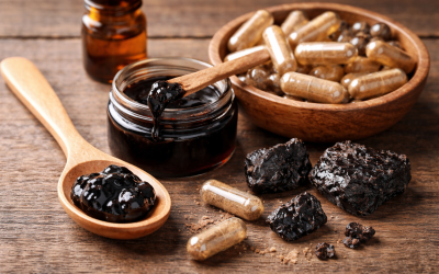 dosage du shilajit résine et capsules