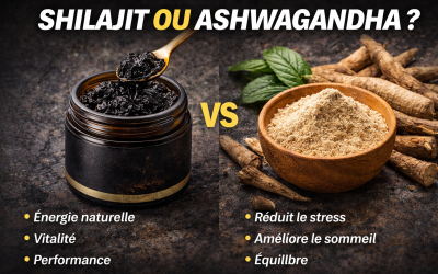 comparaison shilajit ou ashwagandha bienfaits énergie stress