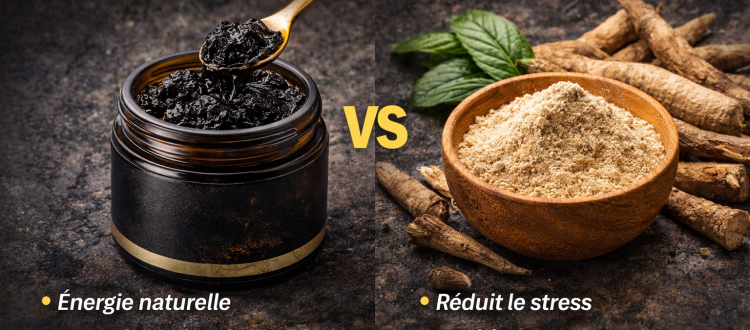 comparaison shilajit ou ashwagandha bienfaits énergie stress
