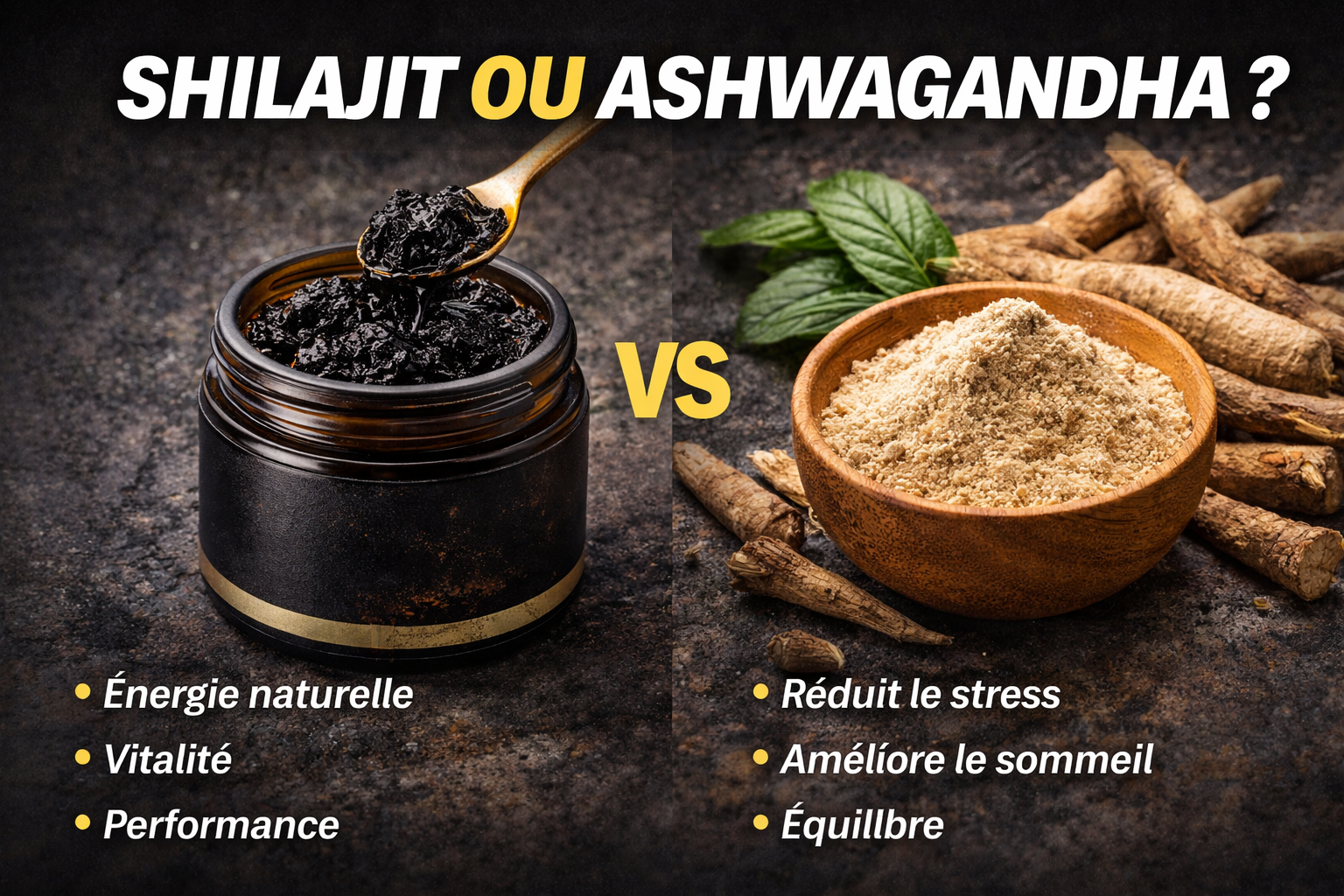 comparaison shilajit ou ashwagandha bienfaits énergie stress