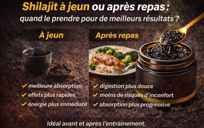 shilajit a jeun ou apres repas utilisation