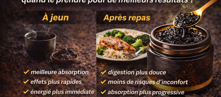 shilajit a jeun ou apres repas utilisation
