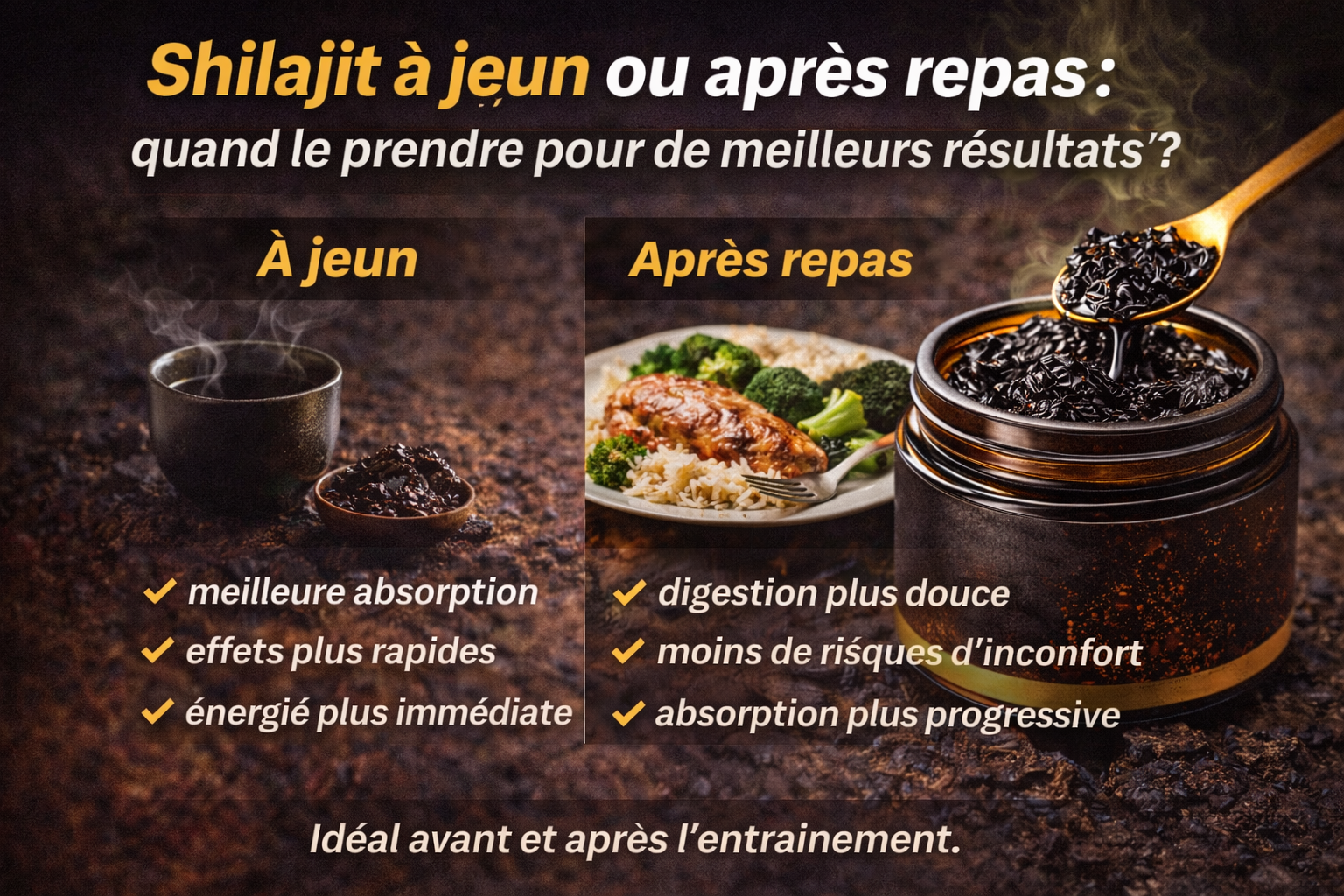 shilajit a jeun ou apres repas utilisation