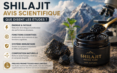 shilajit avis scientifique etudes effets