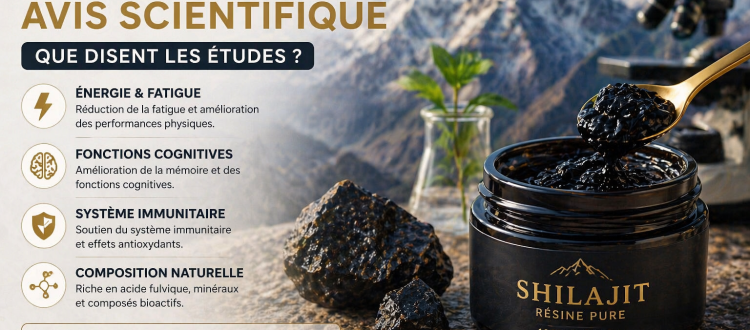 shilajit avis scientifique etudes effets