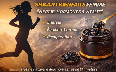 shilajit bienfaits femme énergie hormones