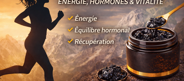 shilajit bienfaits femme énergie hormones