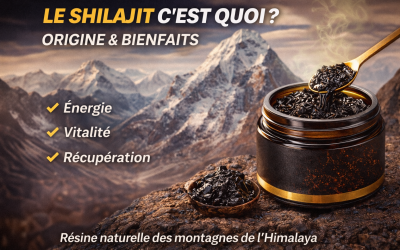 Shilajit résine pure Himalaya bienfaits énergie vitalité