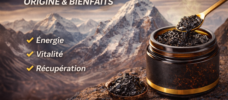 Shilajit résine pure Himalaya bienfaits énergie vitalité