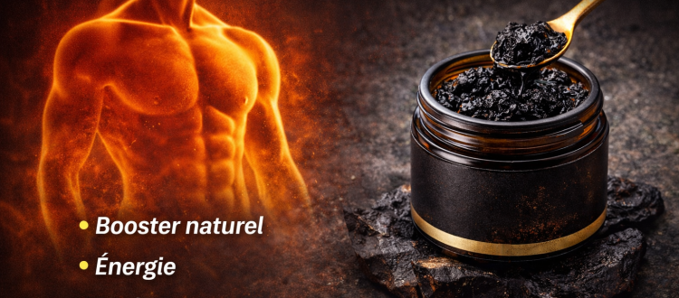 shilajit libido homme booster naturel energie performance