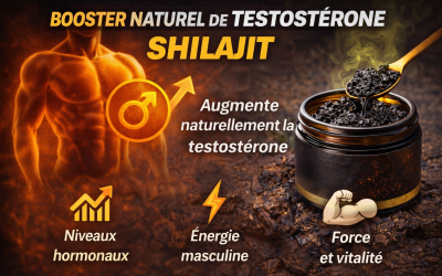 Shilajit testosterone booster naturel homme