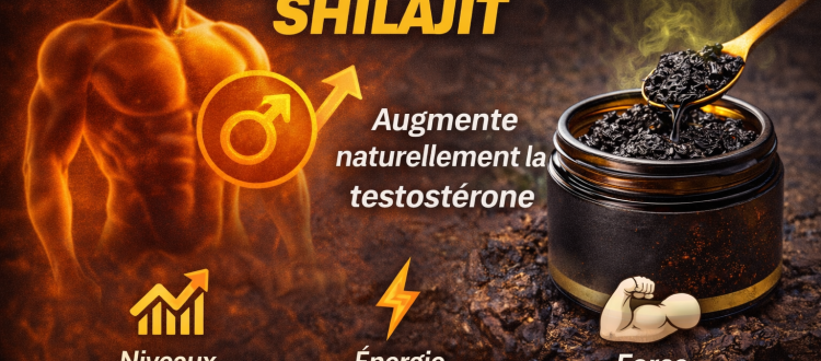 Shilajit testosterone booster naturel homme